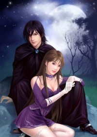 浪淘沙之雲南王